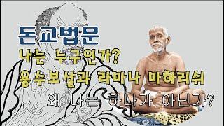 【돈교법문】 8회. 용수보살과 라마나 마하라쉬/ 나는 누구인가?/ 왜 나는 하나가 아닌가?/ 여덟 가지 인식의 주체들/불교/참선/화두/명상