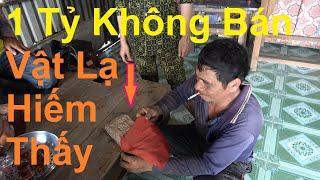 Chấn Động Thợ Lặn Cho Xem Vật Lạ Mò Được Mấy tỷ Cũng Không Bán