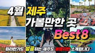 Why you should go to Jeju Island in April! l BEST 8 places to visit in Jeju Island (+ tips)