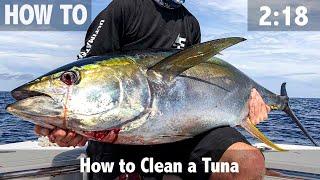 How to Clean a Tuna