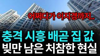 충격의 시흥 배곧신도시
