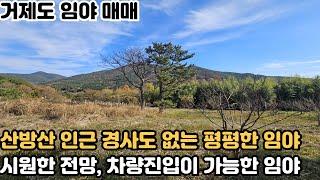 [거제도 임야 매매] 거제시 둔덕면 경사가 완만한 야산 생산관리지역, 전망이 좋고 가격 저렴한 임야 매매