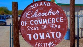 Niland CA. Tomato Festival 2023 #festival #parade #california #fun #imperialvalley #comunity #food