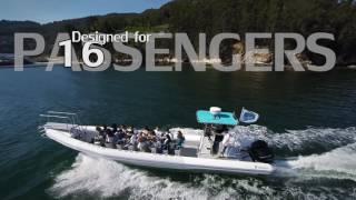 SPECTACULAR NARWHAL FAST1200