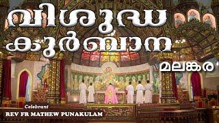 Malankara Catholic Qurbana |03 DEC 2023| REV FR MATHEW PUNAKULAM|MALAYALAM MASS TODAY|GOODNESS TV