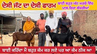 ਦੇਸੀ ਜੱਟ ਦਾ ਦੇਸੀ ਫਾਰਮ । ਖਰਚਾ ਘੱਟ ਫਾਇਦਾ ਵੱਧ । Goat farming #goats #punjab #goats​⁠​⁠​⁠​⁠ #iltilana