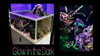 "Glow in the dark" aquascape | Acrylic voodoo-tank | A coin to pay Charon | by Manuel Berg