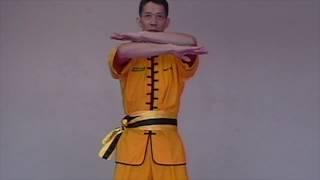 Wing Chun: Lesson 3