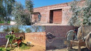 Naya ghar aor Mushkil kam | New House Tour | Village life | Shoaib Maharzada