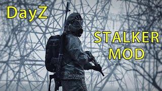 DayZ STALKER Mod Is Crazy