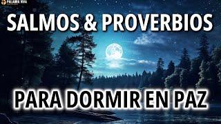 Biblia en audio para dormir | Salmos y Proverbios | Biblia Hablada | 12 HRS