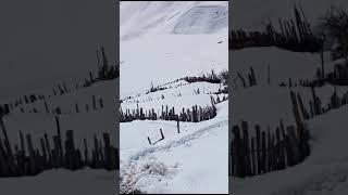 Great video #hits #discovery #mountainrange #viwes #snow #animals #evergreenhits #mountainvalley