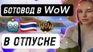 Как Боты в World of Warcraft оплатили мой тур в Тайланд [мини влог] #worldofwarcraft #bots #rmt