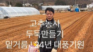 고추농사 두둑과 밑거름이 중요해요(거름,석회는 1번.비료는 2번. 소독제는.3번)