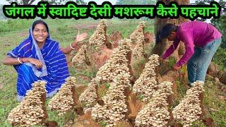 जंगल में स्वादिष्ट देसी मशरूम कैसे पहचाने#pahadi lifestyle