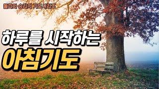 하루를 시작하는 아침기도 | 말씀 선포 기도 |  아브라함 | 출근길 오늘 하루를 바꾸는 매일 기도