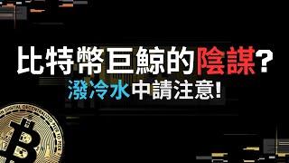 比特幣巨鯨的陰謀殺空又殺多?只要"這個"條件沒達成牛市就不會來!千萬不要去追多