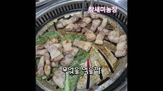 모임에 아내와 같이 무엇을 먹을까?#갈비 #삼겹살#참새미농장 #참새미자두