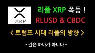 트럼프 시대 리플의 방향 [ 리플 XRP 폭등 | RLUSD & CBDC | 코인동화1]