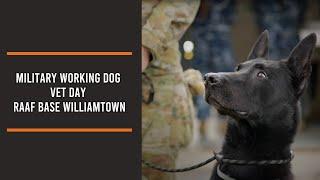 Military Working Dog Vet Day, RAAF Base Williamtown