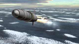 UK Royal Navy unveils Sea Ceptor missile