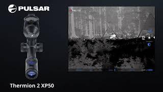 Pulsar Thermion 2 XP50 wildboar killshot