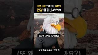 일본어 단어 쉽게 외우기 _ 안경 #일본어회화 #매일일본어 #일본어독학 #웃긴영상 #각종유머 #일본어공부 #상황극 #일본어 #초급일본어 #여행일본어