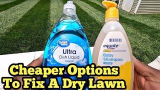 How To Fix Dry/Hydrophobic Soil To Help Keep Lawn Green