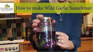 How to make Wild Garlic Sauerkraut | Coed Lleol (Small Woods Wales)