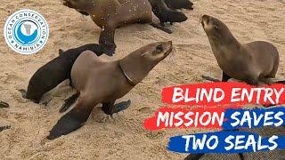 Blind Entry Mission Saves Two Seals