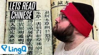 Reading In Chinese After Learning 400 Characters