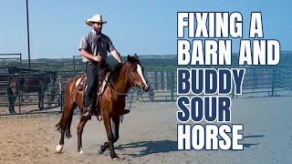 I GUARANTEE this will Fix ALL Barn and Buddy Sour Horses!