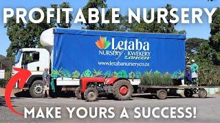 How To Start A Plant Nursery For Profit - Letaba Nursery