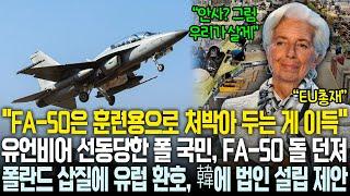 유언비어에 선동당한 폴란드 국민, FA-50은 훈련용으로 처박아 두라고 항의 | 폴란드가 삽질하자 오히려 자신들에게 법인 설립하라며 다투는 유럽