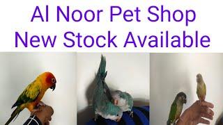 Al Noor Pet Shop New Stock Available