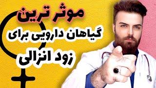 چگونه با استفاده از گیاهان و طب سنتی، زود انزالی را درمان کنیم؟|?treat PE with herbs