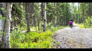 [4K] Biking Denali | Virtual Cycling | from Denali park village to visitor center with a 6-yo