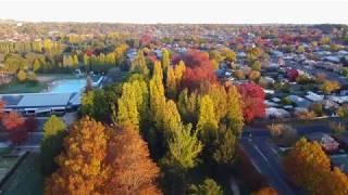 The streets of Orange NSW in Autumn