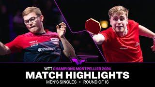 Alexis Lebrun vs Truls Moregard | MS R16 | WTT Champions Montpellier 2024