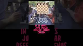 Judit Polgar defeated Magnus Carlsen in just 19 moves️#shorts #short #chess