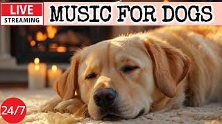 [LIVE] Dog Music Dog Calming MusicSeparation Anxiety Relief MusicDog TV Music For Dog Sleep9