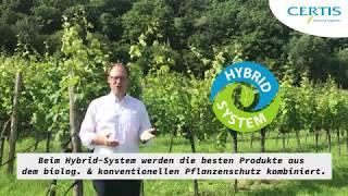 Rückstandsfreie Traubenproduktion mit dem Hybrid System von Certis