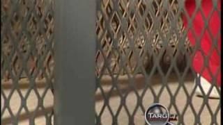 Target 7 Investigates Prison Gangs