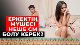 Еркектің мүше ұзындығы неше СМ болу керек? Эрекцияның әлсіздігі неден болуы мүмкін