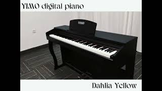 YIMO YM-A801 Digital Piano: Unveiling the Features