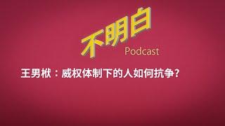 王男栿：我如何看待美国的民主？   | 美国大选 | 特朗普 | 哈里斯 | 民主 | 威权主义 | 共产党 | 古巴 | 卡斯特罗 | 流氓燕 | 王宇  |