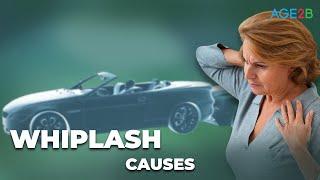 Causes of Whiplash: A Physical Therapy SECRET for Treating: How your body gets damaged in a whiplash