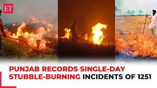 Punjab records highest single-day stubble burning incidents of 1251, exceeding the last three years