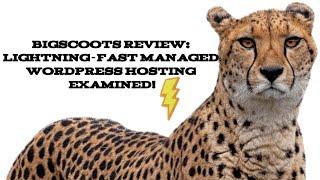 BigScoots Review: Lightning-Fast Managed WordPress Hosting Examined [2024]