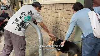 「毛守救援」  讓愛終止流浪 給毛孩一個家 Paws Guardian Rescue Shelter: Let love stop wandering